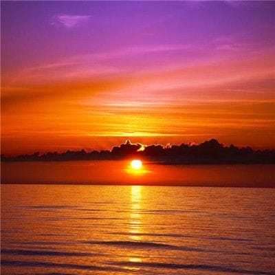 มิว นิษฐา avatar